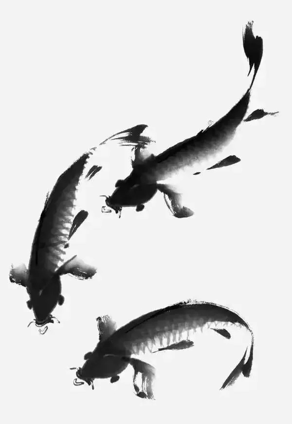 书画大课堂:写意鲤鱼的画法,简单易学