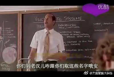 搞笑合集!牛人恶搞明星配音,汪峰这段笑死我了