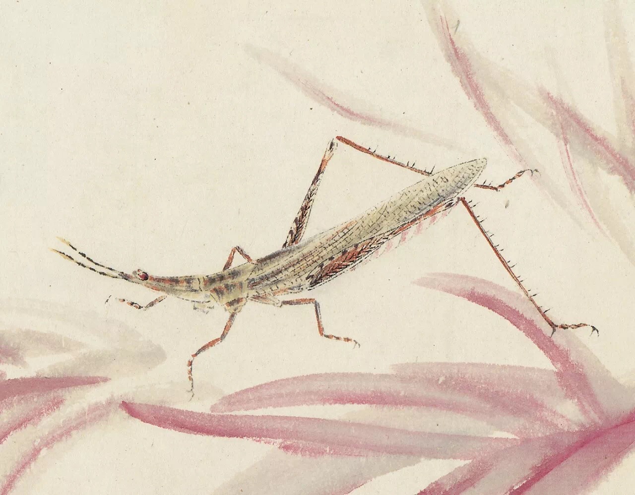 *虫草欣赏 齐白石