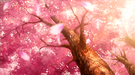 440_247gif 动态图 动图