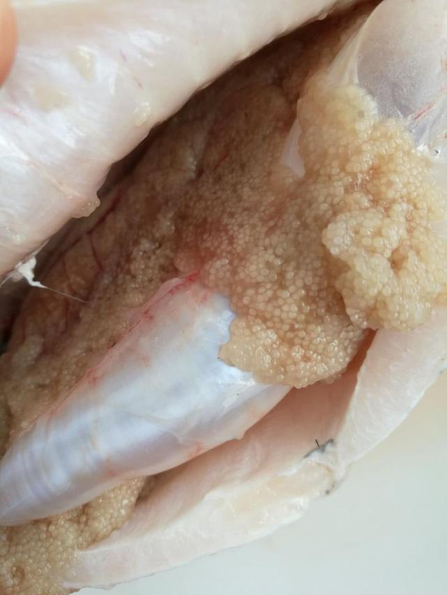 鱼籽另一种美味
