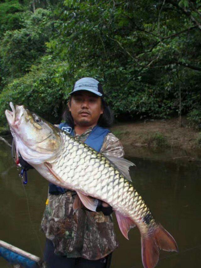 作为水栖植物,它有着"鱼虎"的霸气称谓,可它是河鱼,是海水肉食鱼类
