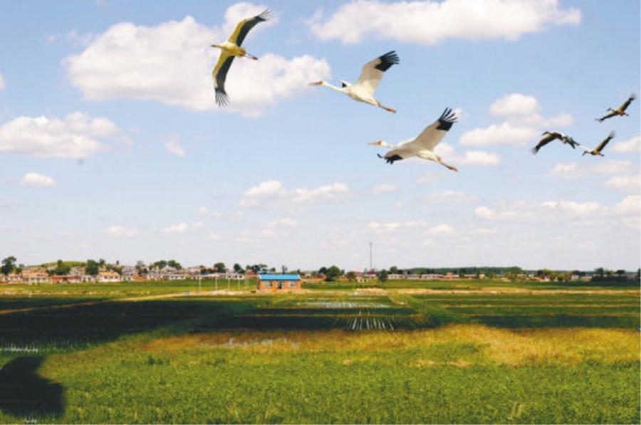 辽宁沈阳法库县四个值得一去的旅游景点,看看你去过几个?