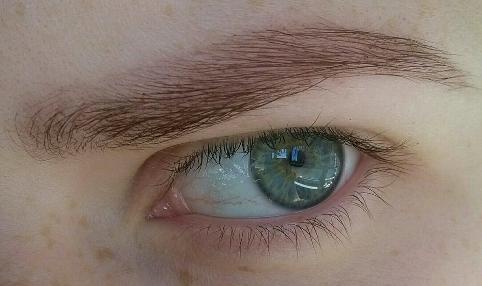 眼睛局部细节参考图