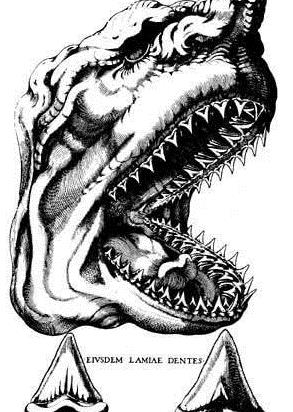 巨齿鲨:地球上生存过的最强杀手