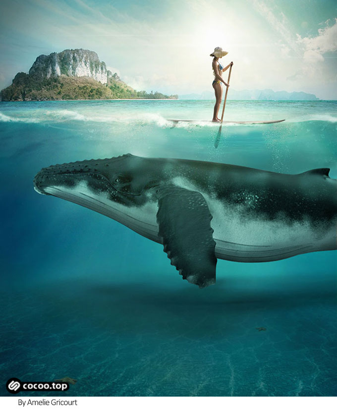 迁想妙得在图形创意中的运用