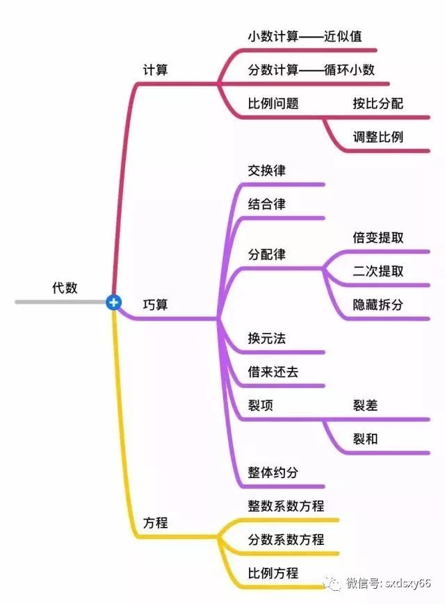 【分支一: 代数模块】