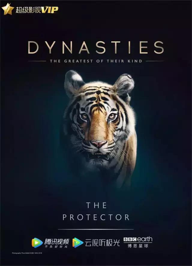 7,bbc慢慢回归的初心!|戴维|卢瑟|纪录片_新浪新闻