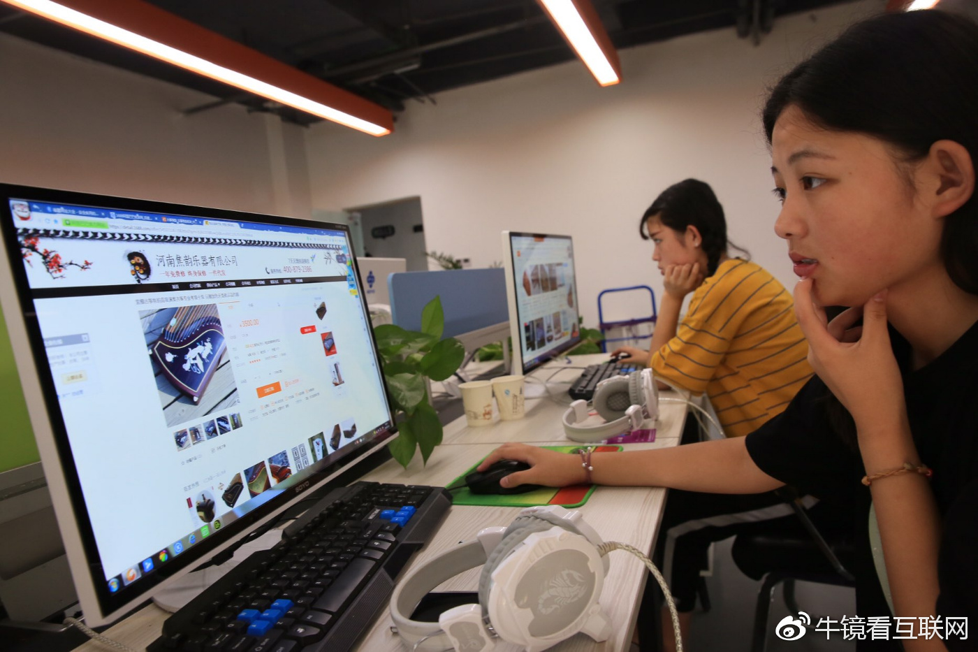 前人栽树后人乘凉!焦裕禄号召种的泡桐树如今