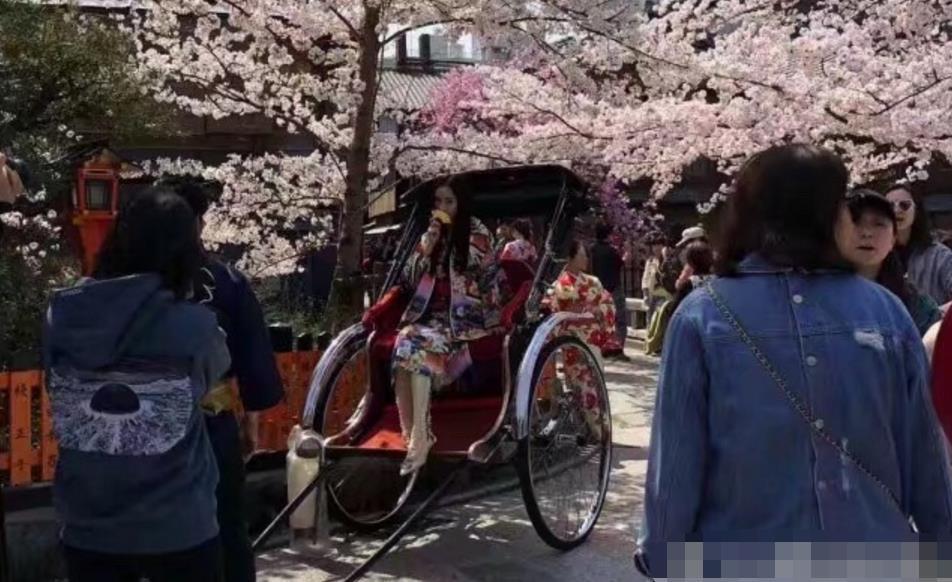 网友拍到杨幂日本旅游赏樱花, 心情大好身穿日