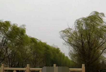 济南的妖风有多厉害 看完下边的图你就知道怕了