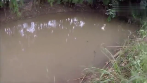 钓鱼: 有人说这种是阿波钓法