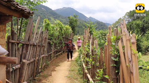 果子哥哥,重庆方言版小猪佩奇之过年猪,第二集