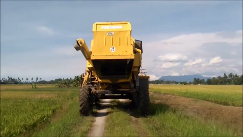 德国农业机械化收割烟叶