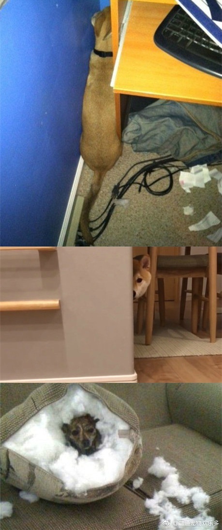 "隐身术"    (特别声明:以上文章内容仅代表作者本人观点,不代表欣怂