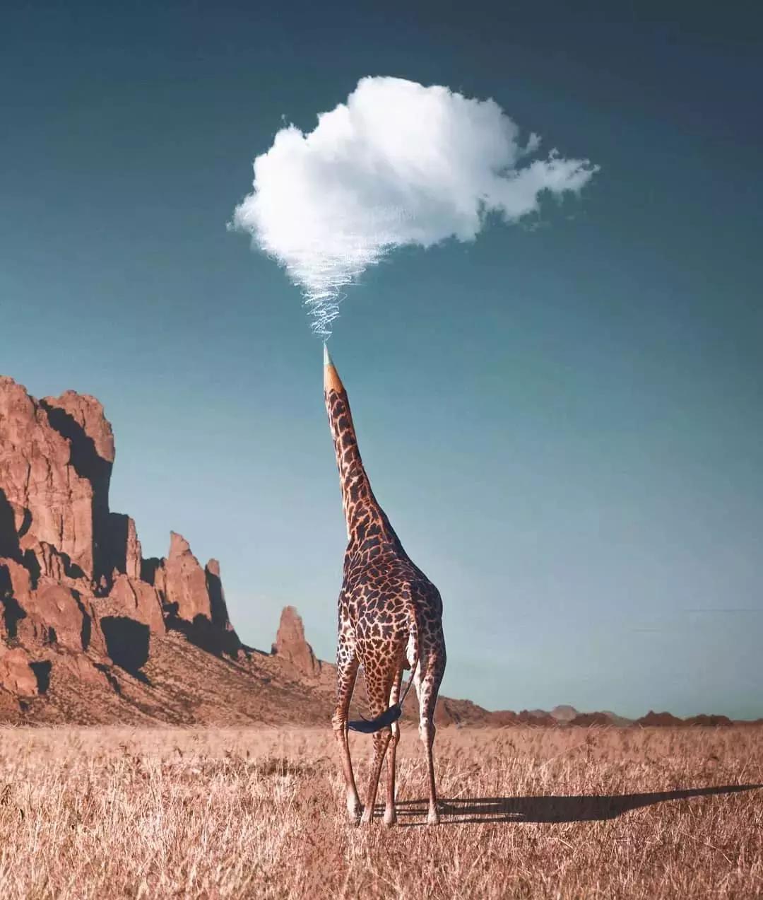 真好玩摄影师教你如何用照片称霸朋友圈