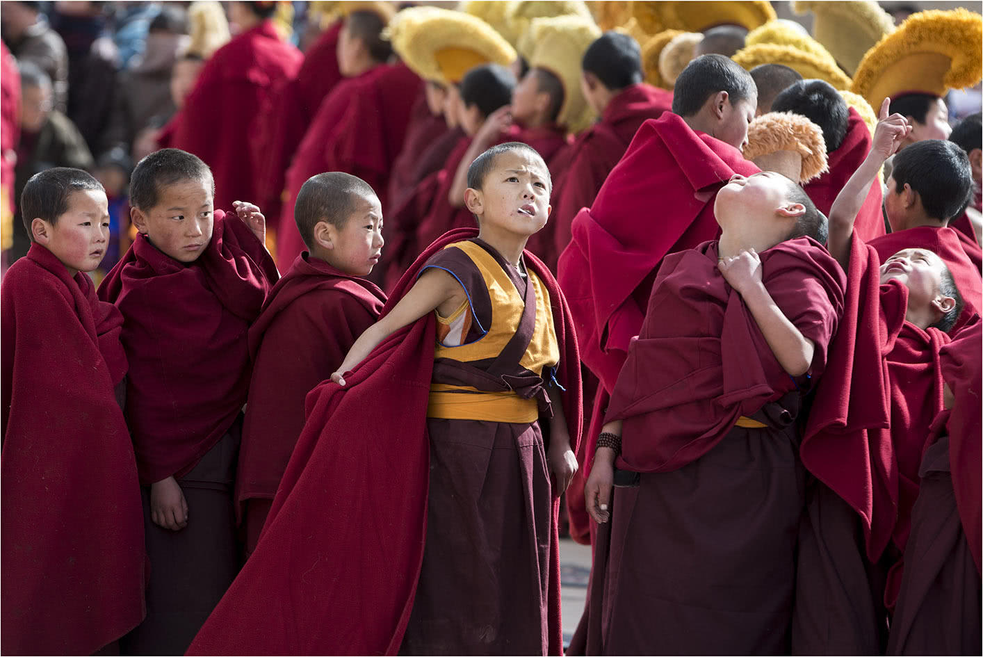 过去只有穷人家的孩子肯做的童子僧,如今却成了佛学院中的少年班