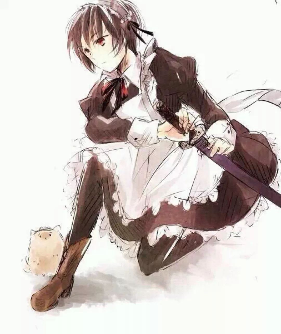 本期壁纸为本田菊