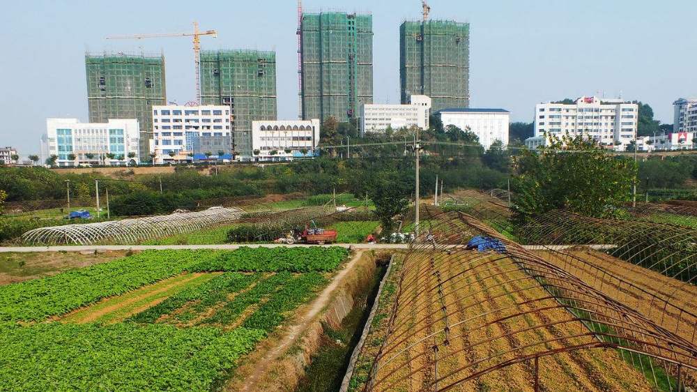 泰安这些农用地转为建设用地并征收,涉及省庄,徐家楼等!