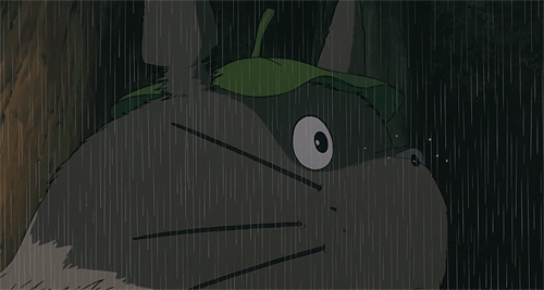 尤其7日:全市阴天间多云有阵雨或雷阵雨,部分县市中到大雨,局部暴雨.