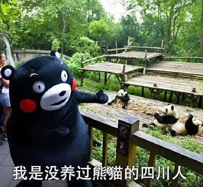 什么操作?不会开挖掘机的山东人不配做山东人!