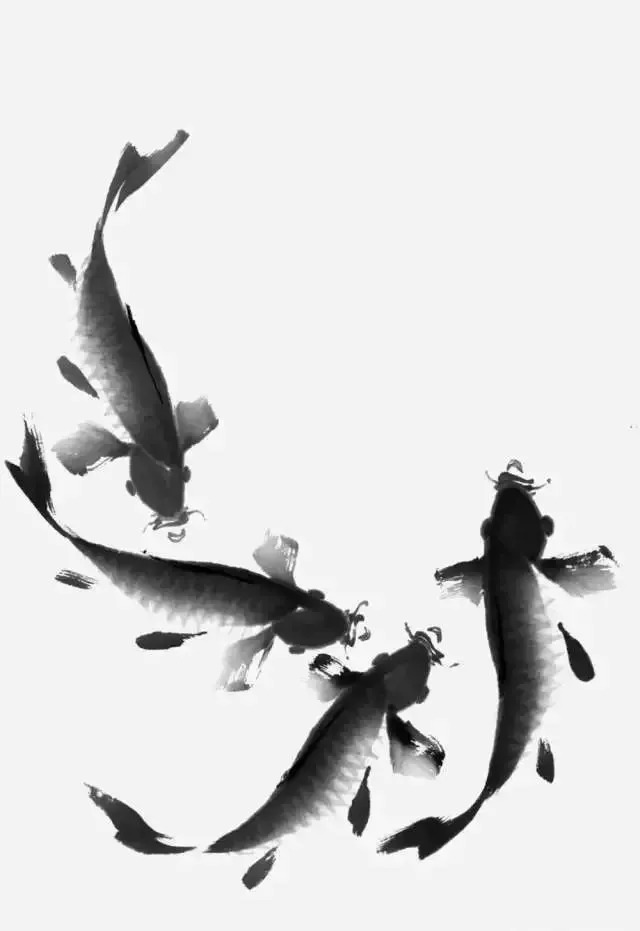 书画大课堂:写意鲤鱼的画法,简单易学