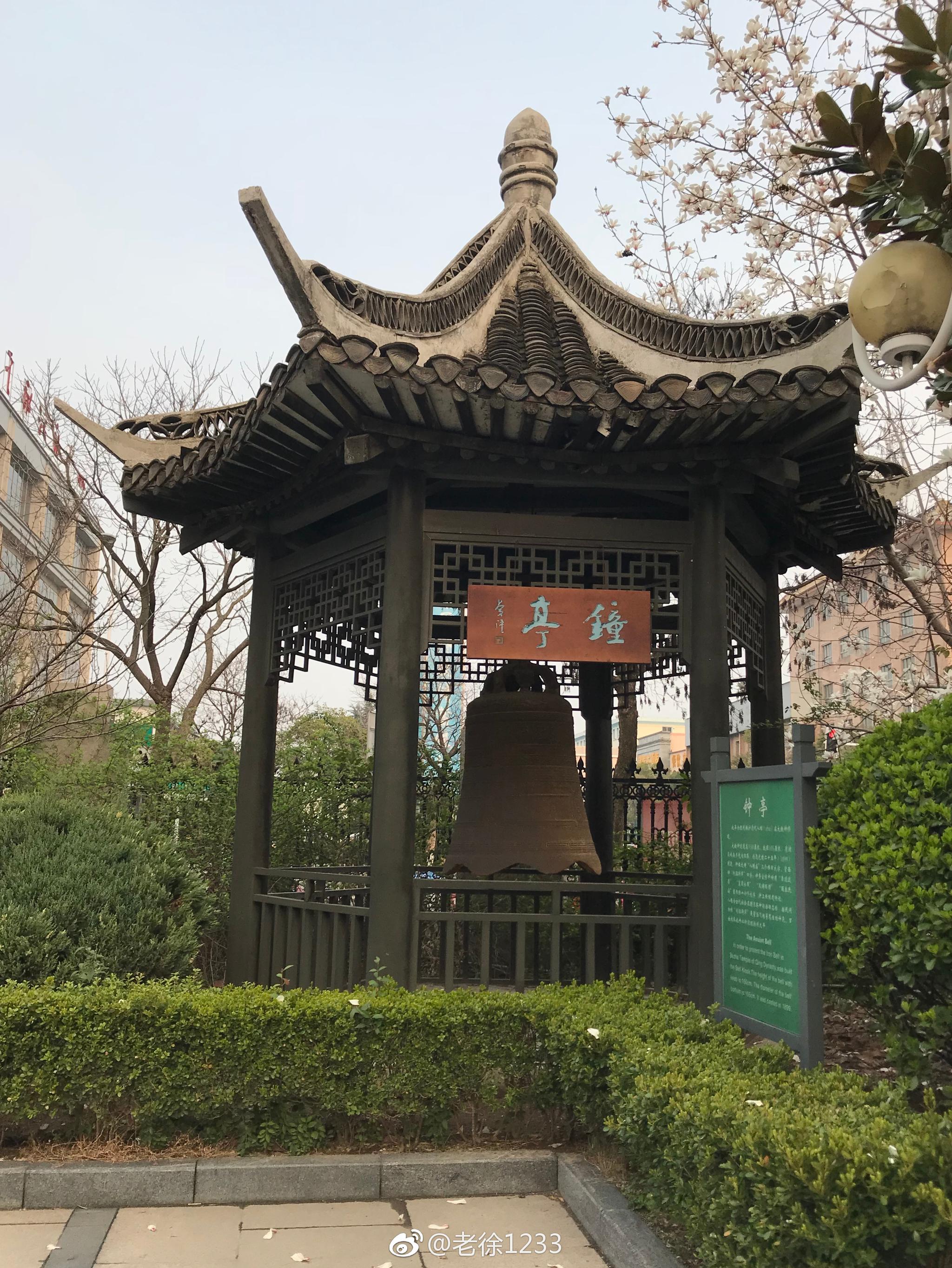 体谅是一缕春风,微笑是一份礼物,赞赏是一束鲜花|博物馆|战国墓|淮安