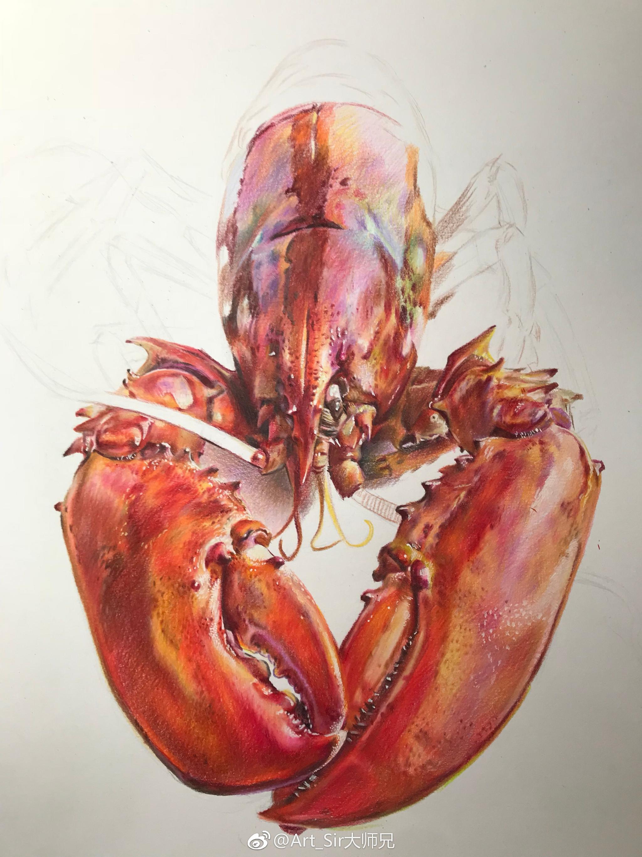 画一只大龙虾投稿作者a哼绘画