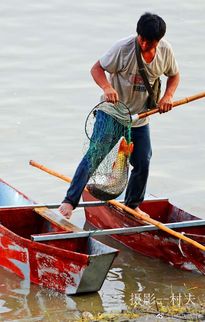 百舟竞发,千人撒网,驻马店宿鸭湖的捕鱼季开始了