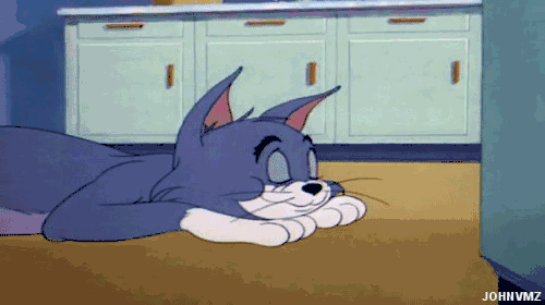 猫和老鼠中的汤姆在现实中竟是这种猫鹿晗都养了一只