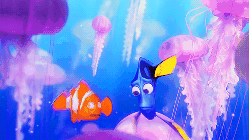 在看电影《海底总动员》的时候被小丑鱼父子的探险过程深深感染对神秘