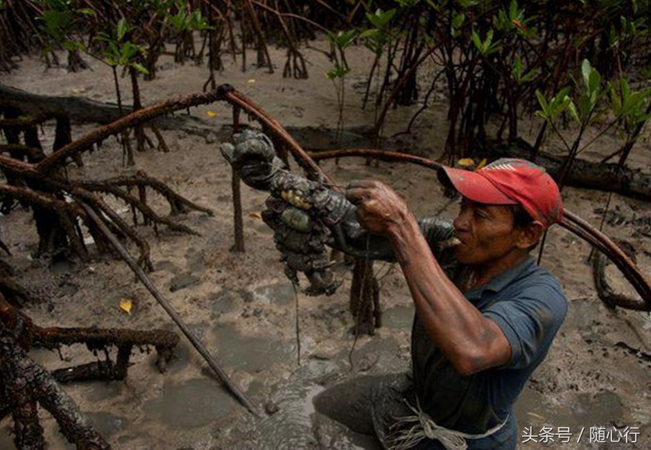 旅行记录者拍到当地捕蟹人的一幕