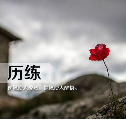 生活告诉我,什么是生活