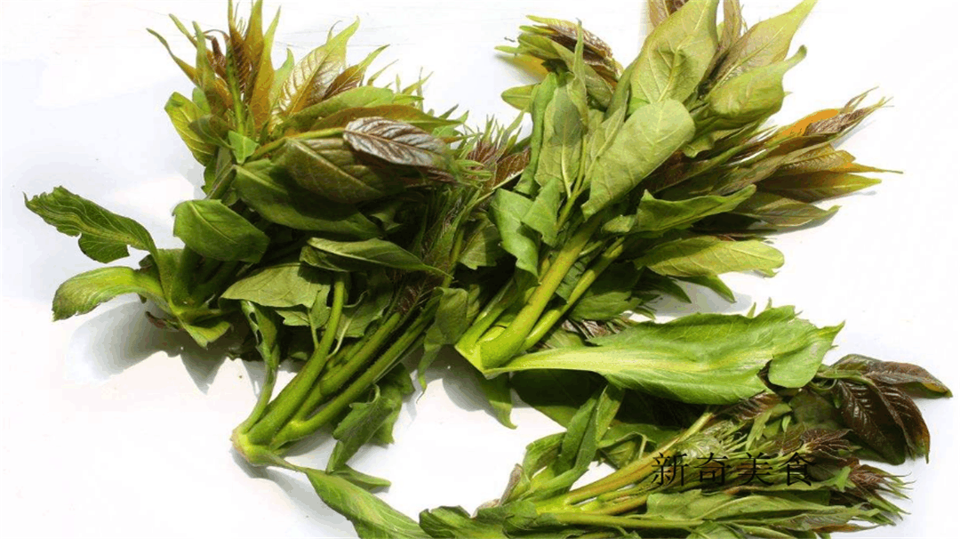 农村人不吃的菜, 城里人却当宝, 20块钱一斤, 抢都抢不到!