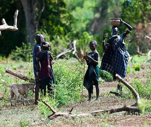 有时候,他们也跟外界交换一些枪支,兽皮,象牙,蜜蜂等物品.