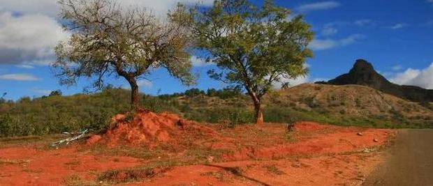 非洲唯一未和中国建交的国家,人口不到150万,