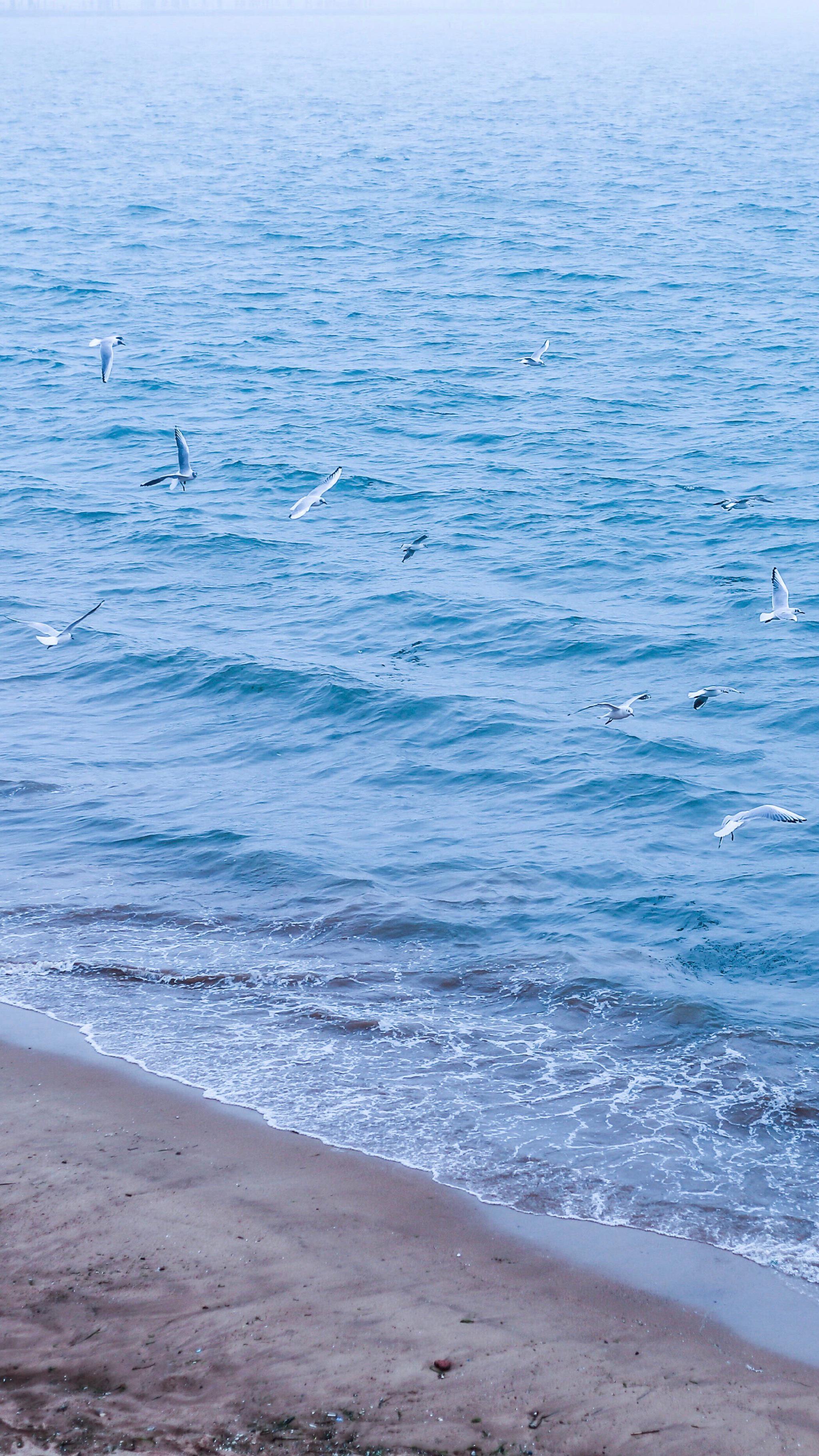 分享壁纸 右下角阅❀