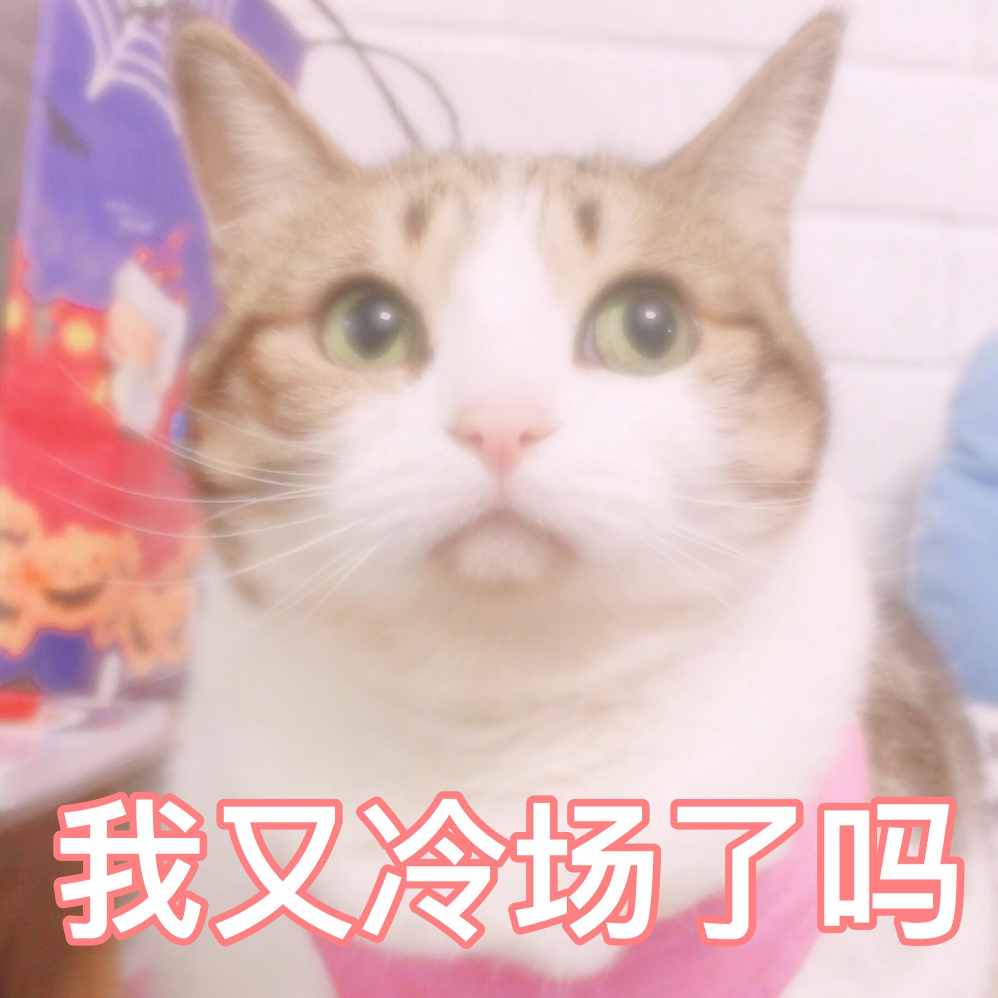 相亲聊天没话题 情侣沟通冷场怎么办