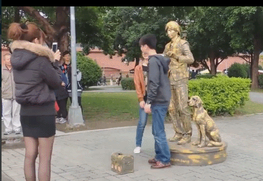 路人以为是假狗:全程一动不动只因和主人打了一个赌