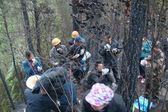 四川深山巨蟒被雷劈死