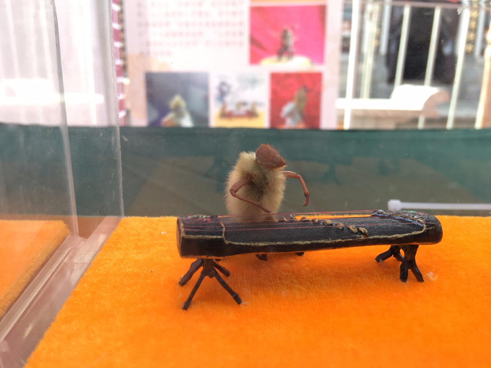 山东大叔用蝉蜕皮做"毛猴" 单个售价上百元却不售卖|毛猴|蝉蜕|传承