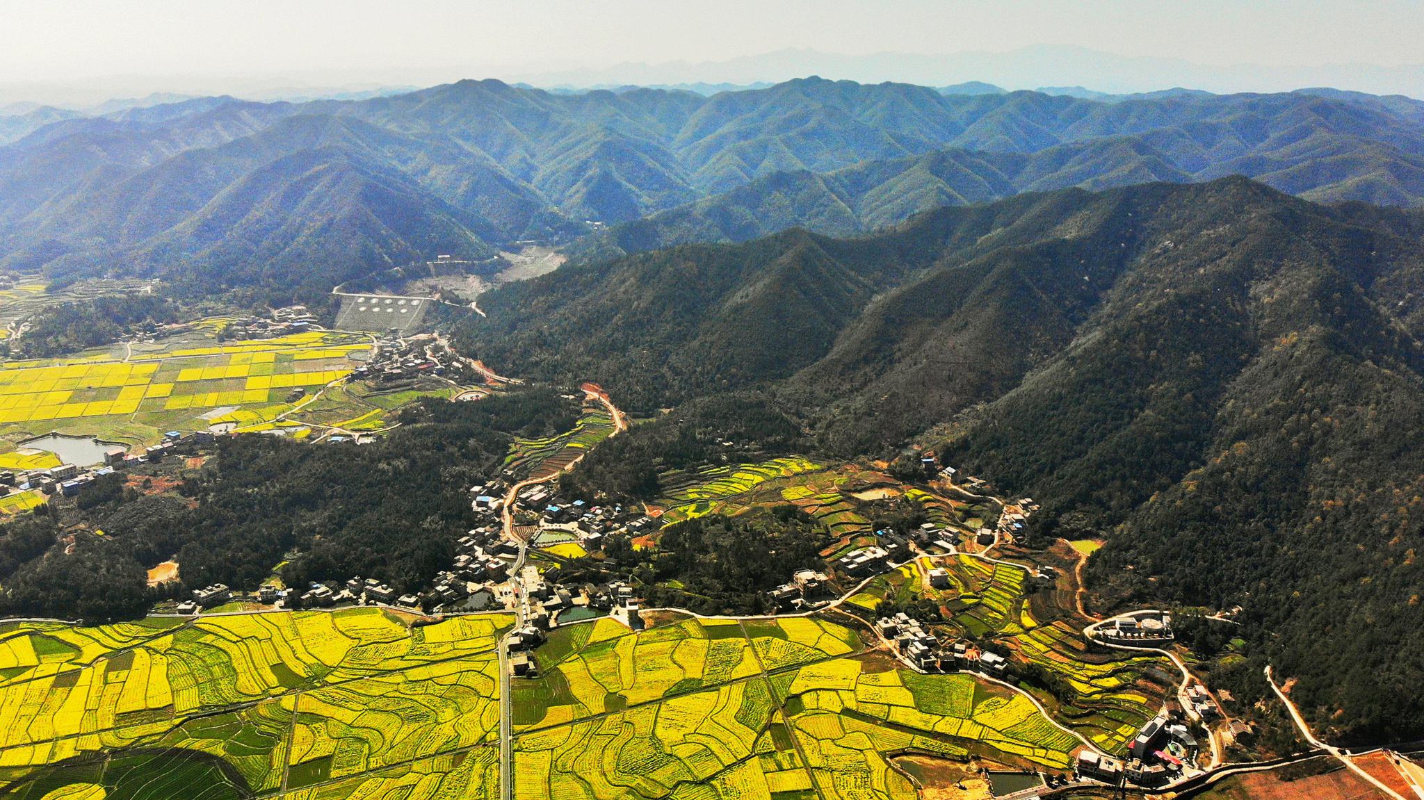 湖南衡阳县76万亩油菜花开成海盘点最美赏花点这个春天说走就走