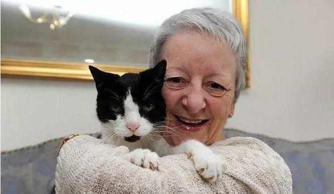 英国老奶奶猫图片