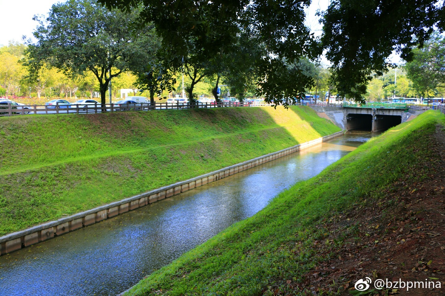 新洲河景观提升工程图片