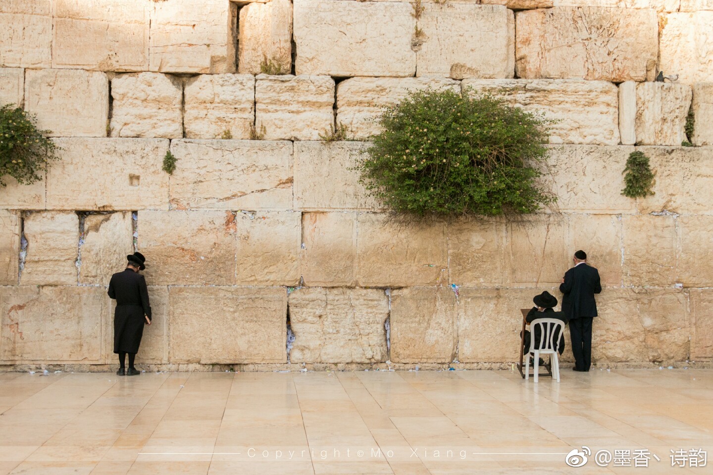 位于耶路撒冷老城区的哭墙应该是犹太人最具有信仰的圣地