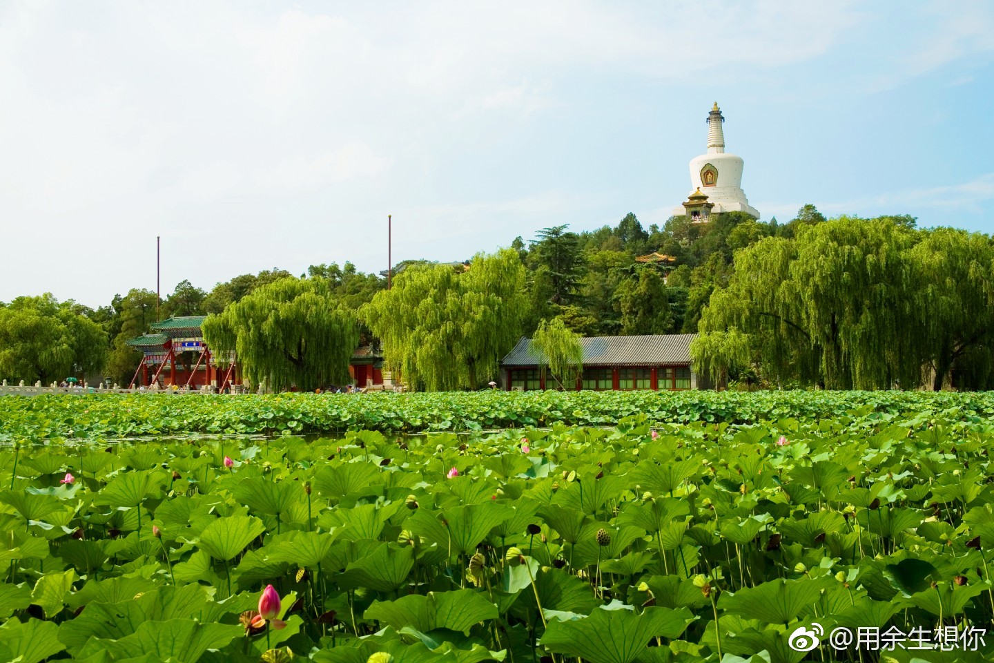 北海公园(beihai park),位于北京市中心区,城内景山西侧