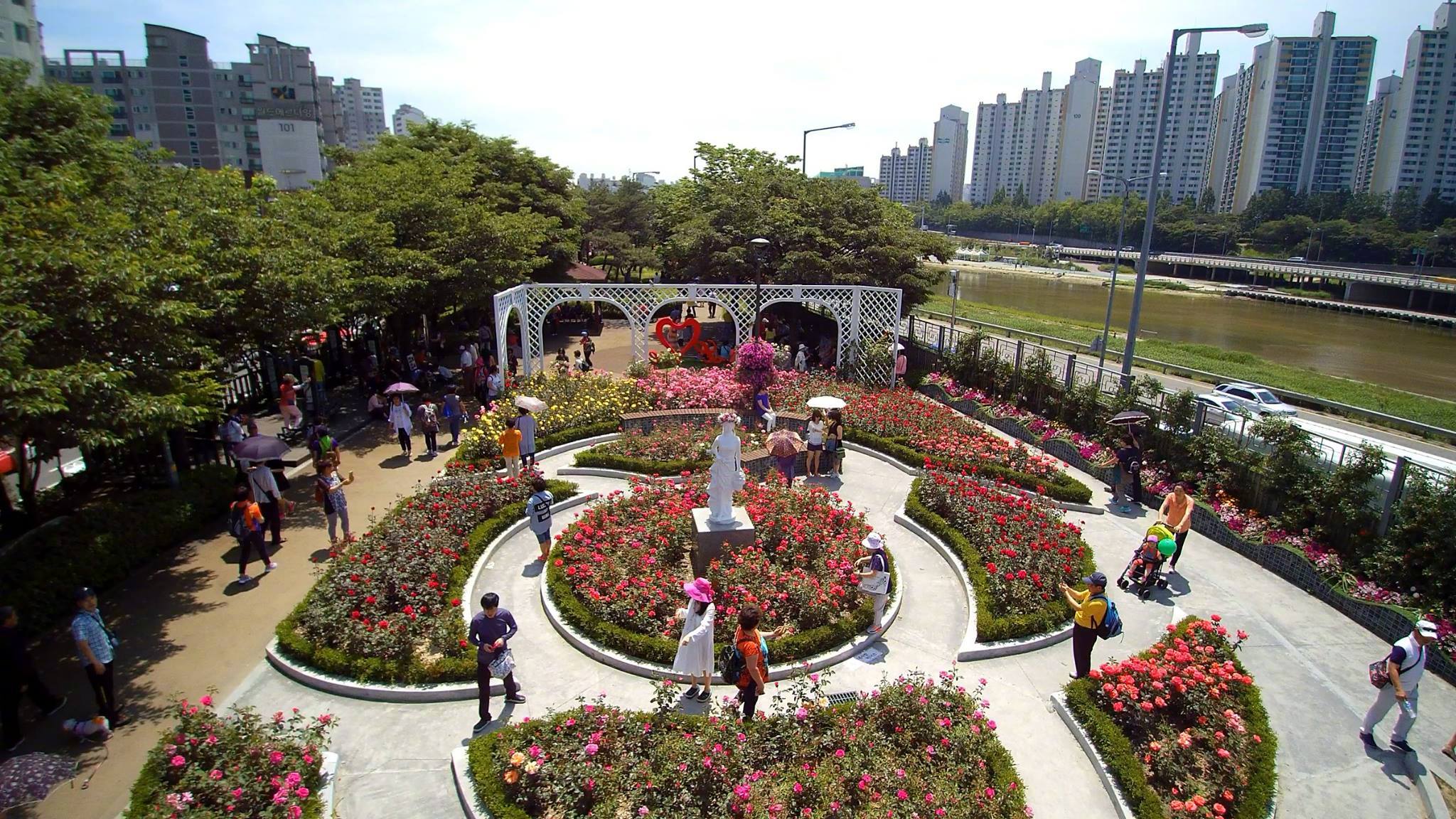 首尔市脸书 首尔市脸书