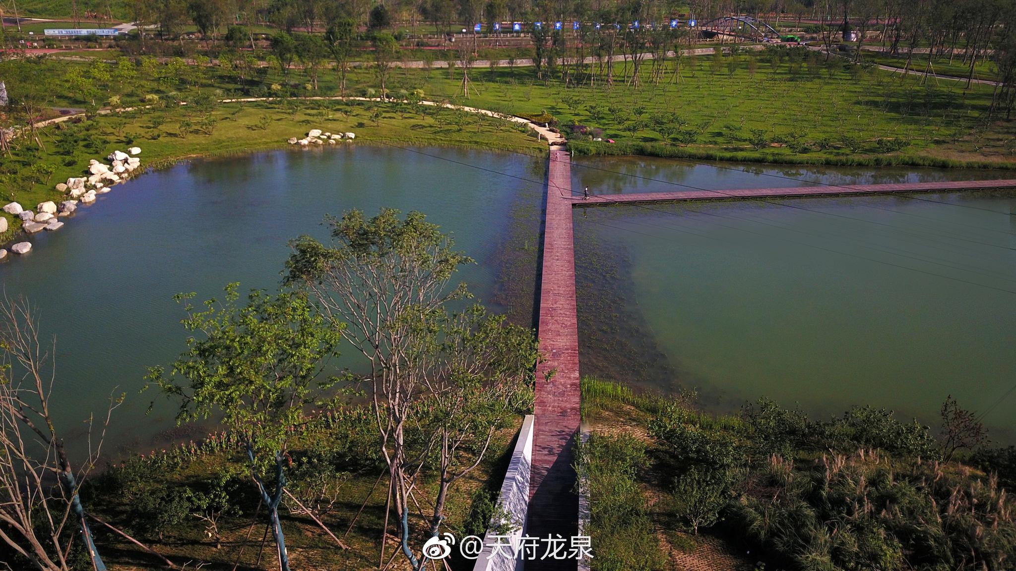龙泉驿新晋网红打卡地:高颜值的玉石湿地公园等着你!