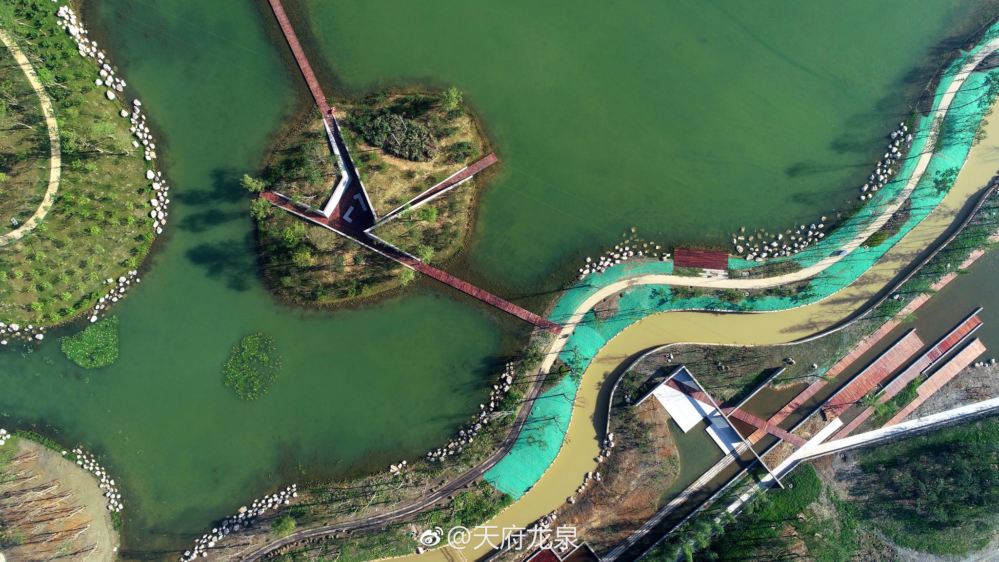 龙泉驿新晋网红打卡地:高颜值的玉石湿地公园等着你!