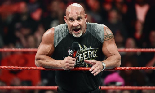 这些选手在明年可能会回到wwe战神高柏还会回归